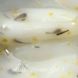 Білдер гель Milk Flower Gel, Miss Luna Premium 15 ml №01 HE-117 фото 2