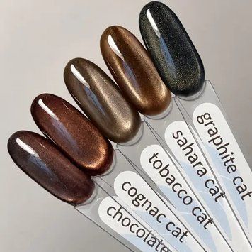 Шоколадний гель лак котяче око, GeliX Chocolate cat, 8мл BP-220 фото