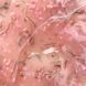 Flora touch gel - Гель для ногтей с розовыми сухоцветами № 2, Crooz 15мл YP-66 фото